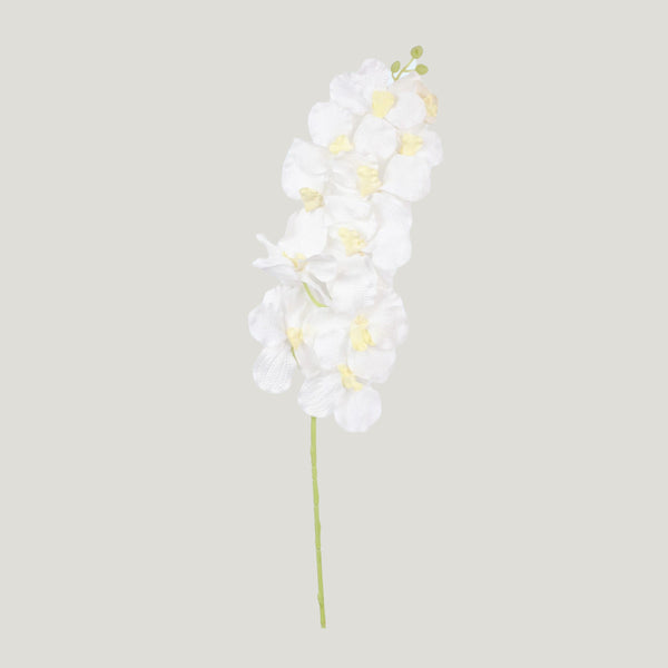 Luminous Lilacs White