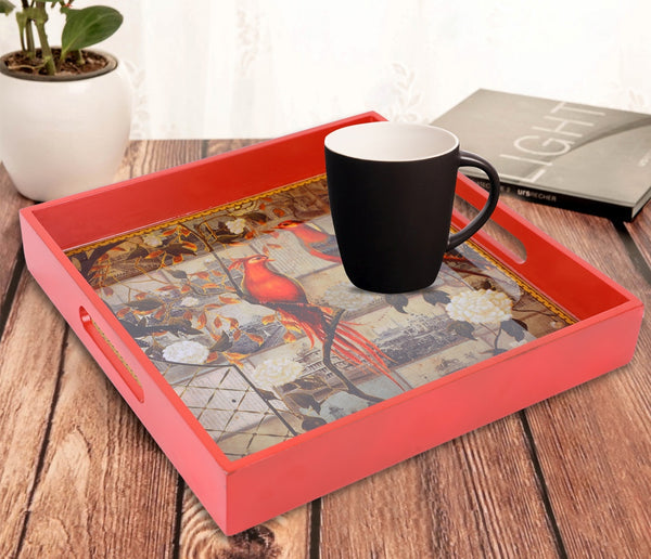 Red Fledgling Tray